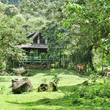 Mindo Eco Chalet Con Rio Y Cascada 외부 사진