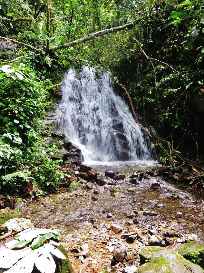 Mindo Eco Chalet Con Rio Y Cascada 외부 사진