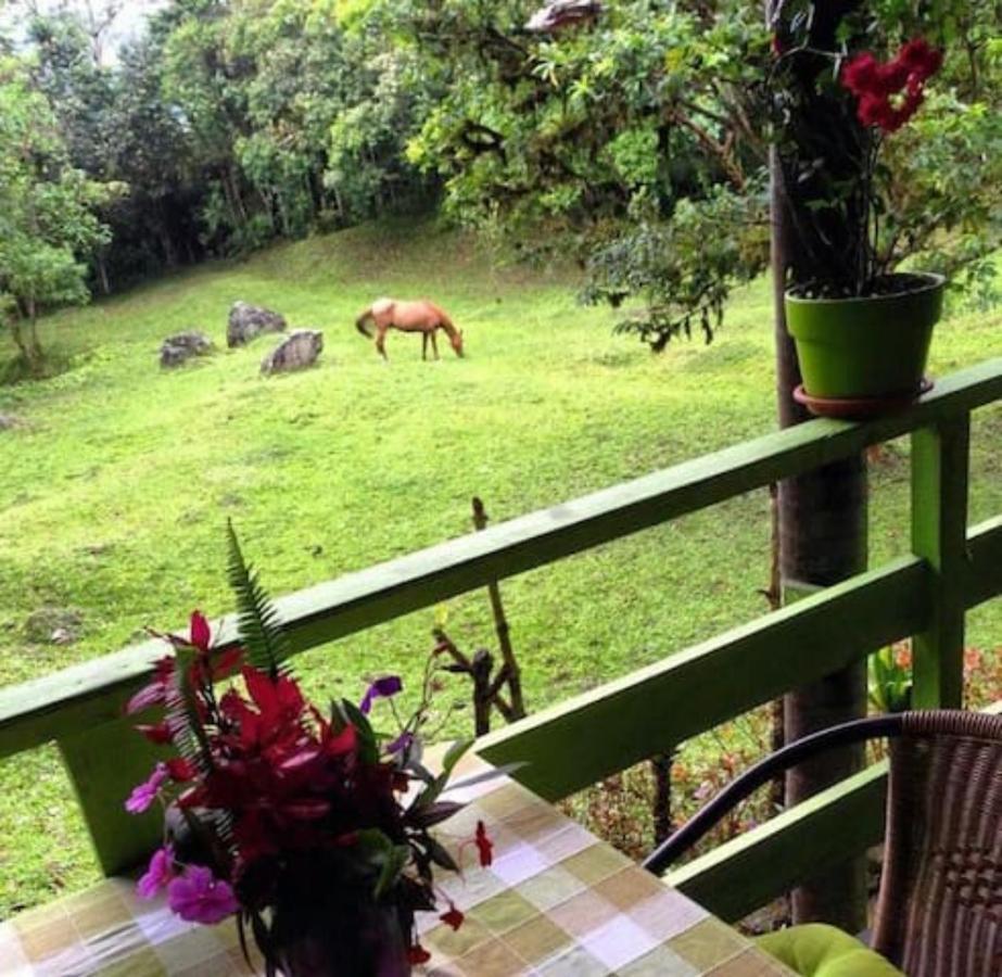 Mindo Eco Chalet Con Rio Y Cascada 외부 사진