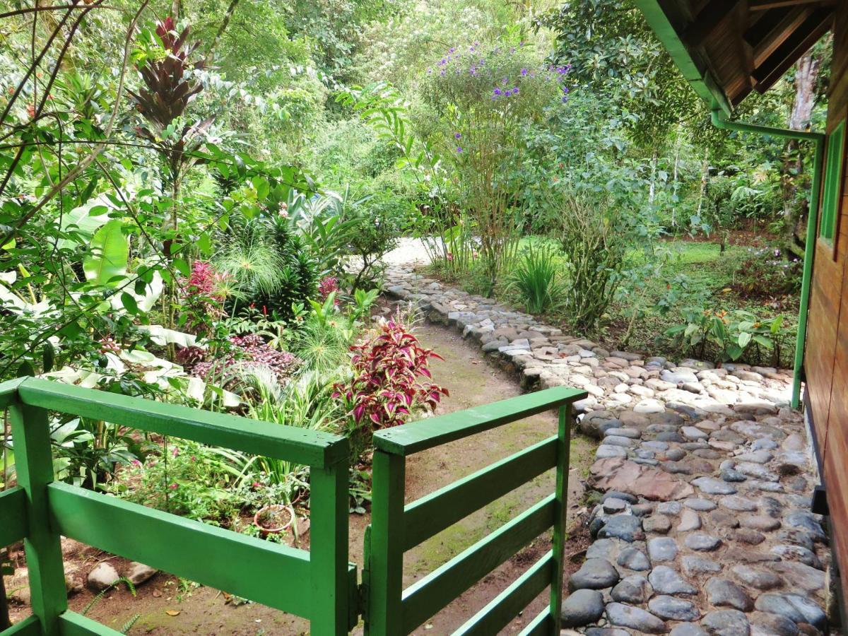 Mindo Eco Chalet Con Rio Y Cascada 외부 사진