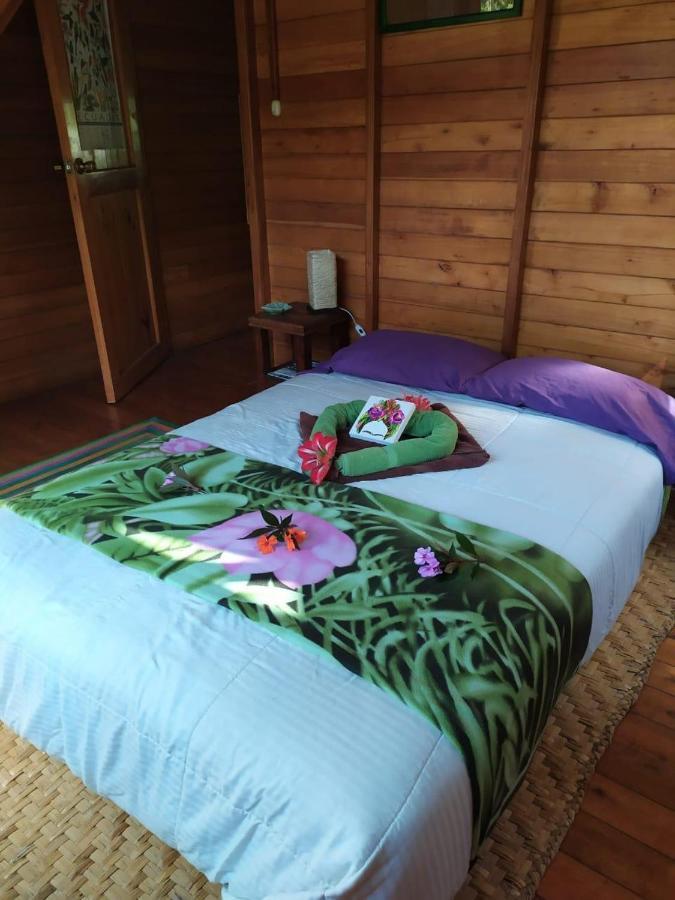 Mindo Eco Chalet Con Rio Y Cascada 외부 사진