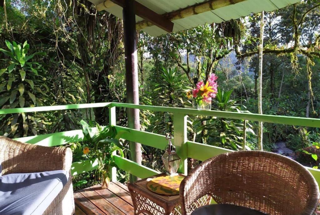 Mindo Eco Chalet Con Rio Y Cascada 외부 사진