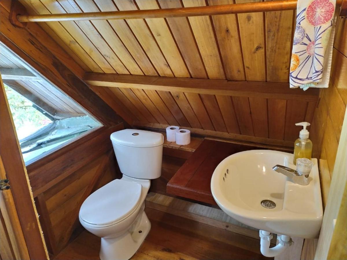 Mindo Eco Chalet Con Rio Y Cascada 외부 사진