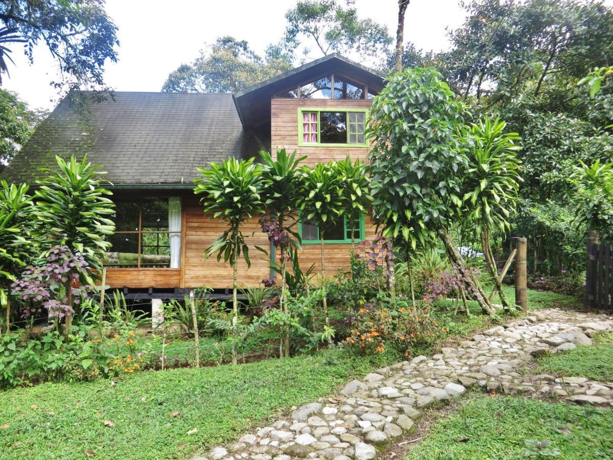 Mindo Eco Chalet Con Rio Y Cascada 외부 사진