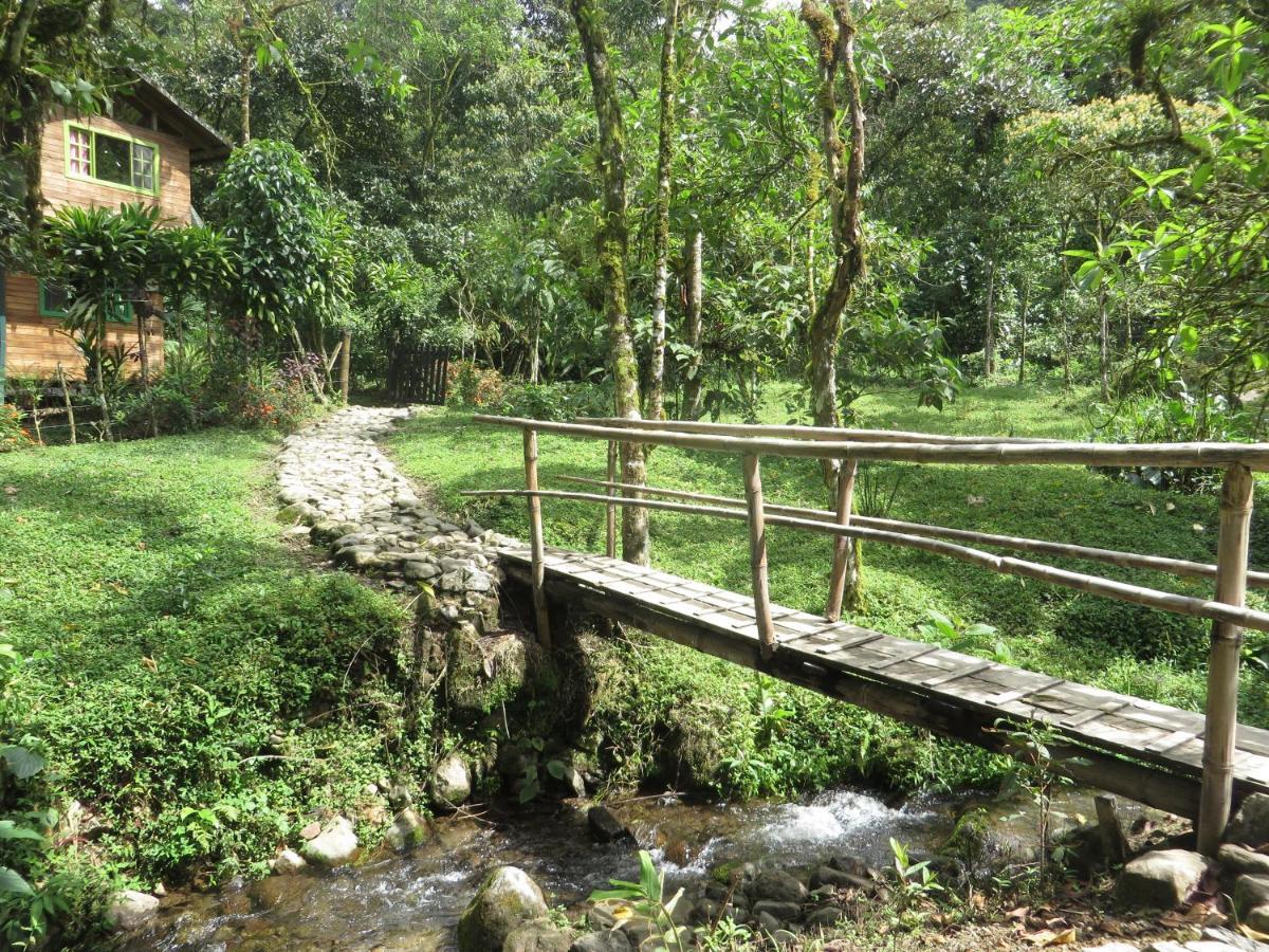 Mindo Eco Chalet Con Rio Y Cascada 외부 사진