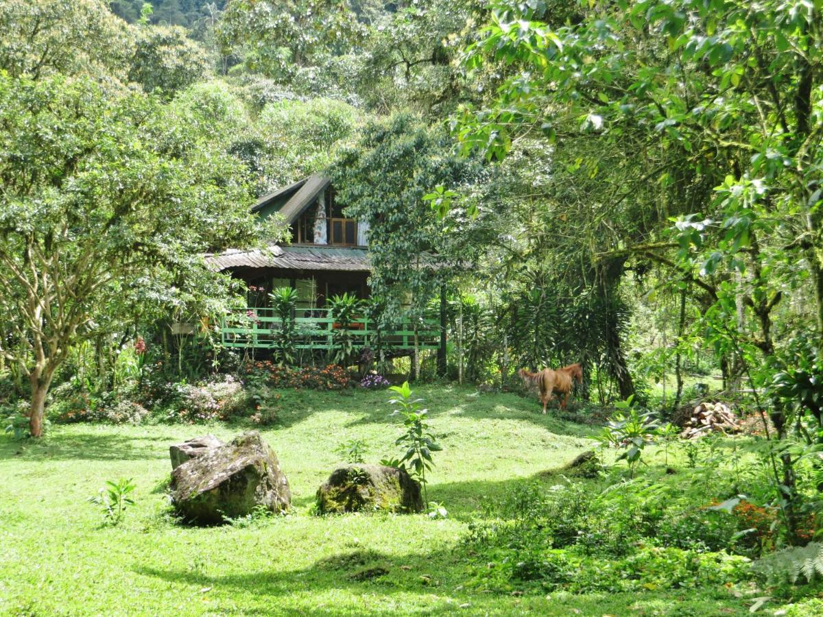 Mindo Eco Chalet Con Rio Y Cascada 외부 사진